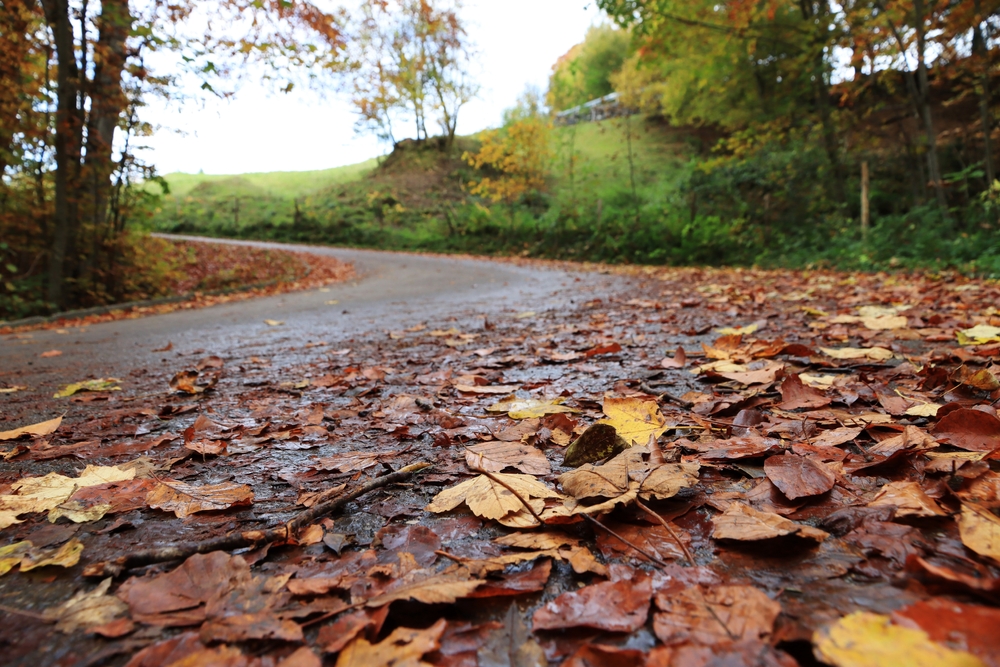 Motorcycle riding on a New Jersey road covered in fall leaves, showing how seasonal weather increases motorcycle accident risks.